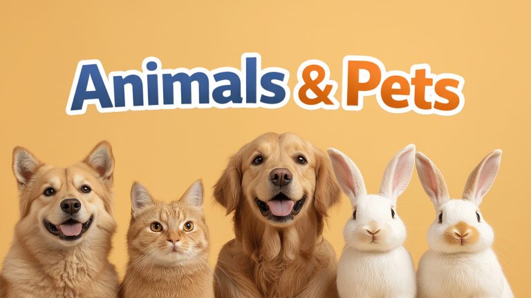 Why Does My Cat Lick Me?